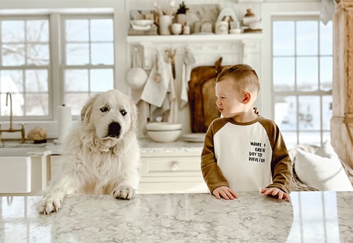 boy and dog sitting at kitchen counter with Andersen white framed windows in background